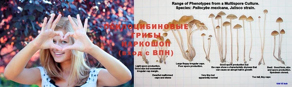 МДМА Алексин