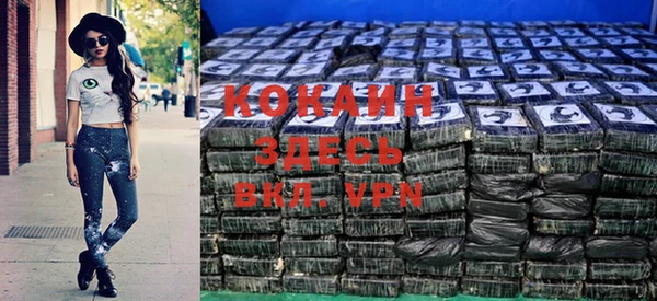 стаф Абинск