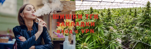 стаф Абинск