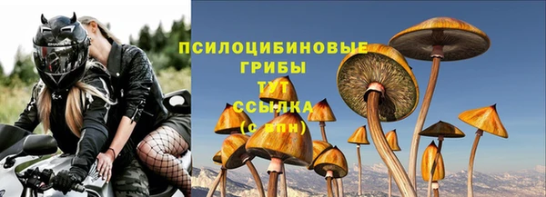 молекула духа Алзамай