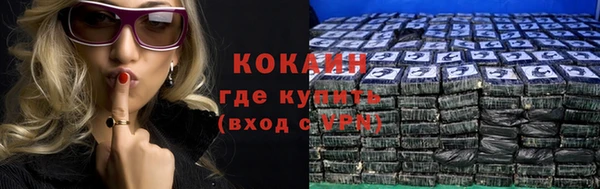 стаф Абинск