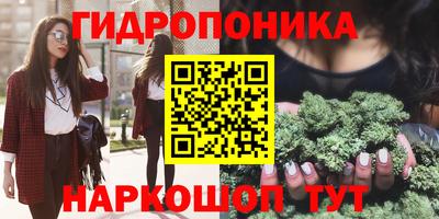 молекула духа Пенза