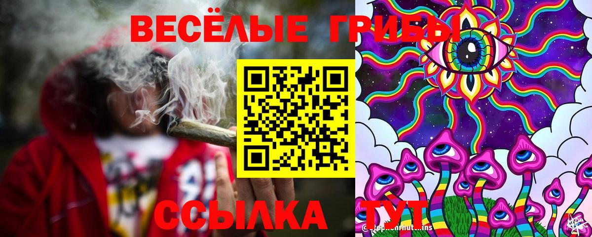 Галлюциногенные грибы GOLDEN TEACHER  Вход с VPN  Ступино 